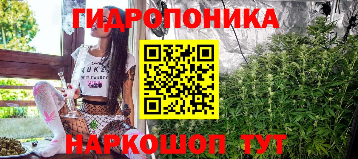 Бошки марихуана OG Kush  Шишки марихуана конопля  Канабис Ganja  Вход с VPN  Ялуторовск  Бошки марихуана семена 